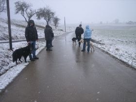 IMG_5189.JPG